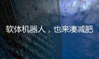 软体机器人
，也来凑减肥药的热闹了