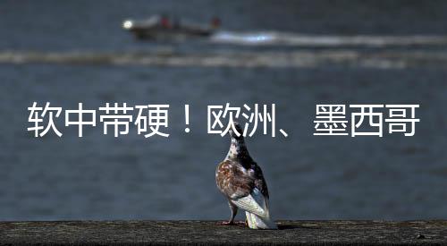 欧洲、软中软中带硬