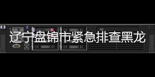 盘锦配送至大润发超市后