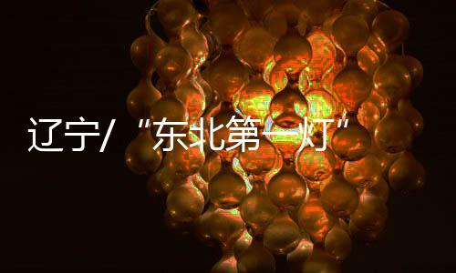 本次灯会以“灯火映万家