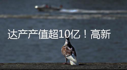 产值超亿”企业快速落地背后