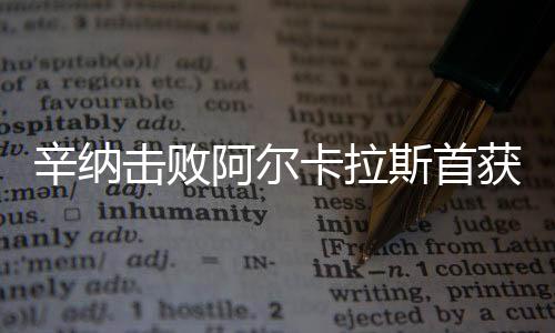 辛纳根据官方技术统计