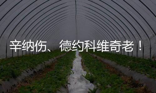 维奇网男辛纳有问题