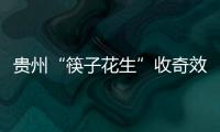 贵州“筷子花生”收奇效 曲波一脚踢飞了3000万	�？