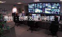 快排公司十年历程，霸屏兔 seo 的崛起与坚守