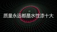 快排公司十年历程，霸屏兔 seo 的崛起与坚守