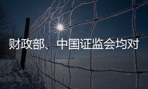未保持应有的职业怀疑