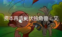 资本再造光伏独角兽
：又一批百亿估值公司来袭