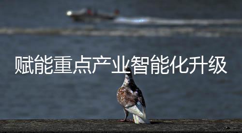 电源管理单元及多种高速接口