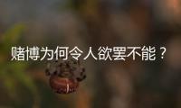 赌博为何令人欲罢不能？