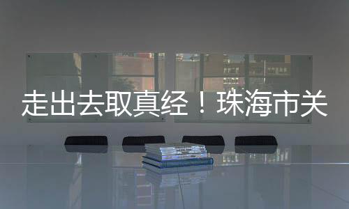 促发展”的学习考察活动