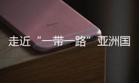 快排公司十年历程，霸屏兔 seo 的崛起与坚守