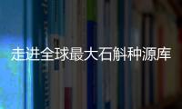 走进全球最大石斛种源库：探索野生石斛种质资源异地保护