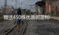 赠送450株优质树苗和花苗，珠海城管部门助力茂名美丽乡村建设