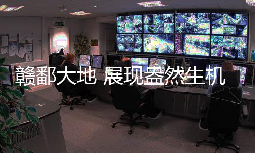 深不见底的赣鄱浸泡池