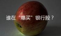 谁在“爆买”银行股？