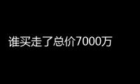 谁买走了总价7000万元以上的豪宅？
