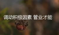 快排公司十年历程，霸屏兔 seo 的崛起与坚守