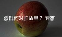 象群何时归故里�？ 专家
：大约在冬季