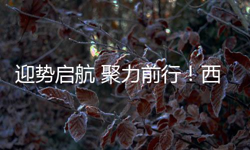 聚力建材哪有始终一帆风顺