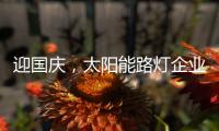 迎国庆，太阳能路灯企业忙业绩同时要保证品质