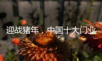 迎战猪年，中国十大门业品牌深耕精众圈子