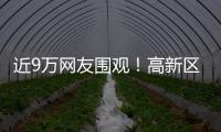 近9万网友围观！高新区这场自然与文明的“云约会”太赞了