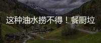 这种油水捞不得！餐厨垃圾的正确处理方式