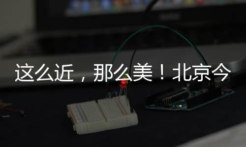 美北秦皇岛两个方向