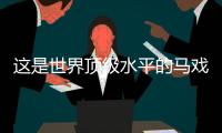 这是世界顶级水平的马戏表演，横琴长隆举行世界马戏日庆典活动