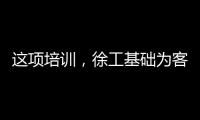 快排公司十年历程，霸屏兔 seo 的崛起与坚守