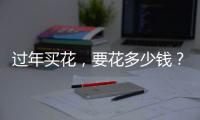 过年买花，要花多少钱？｜春节账单③