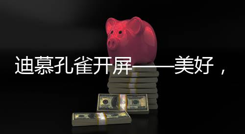 幸福集合资深匠人智力