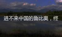 快排公司十年历程，霸屏兔 seo 的崛起与坚守
