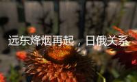 远东烽烟再起，日俄关系为何再度紧张
？丨智库视点