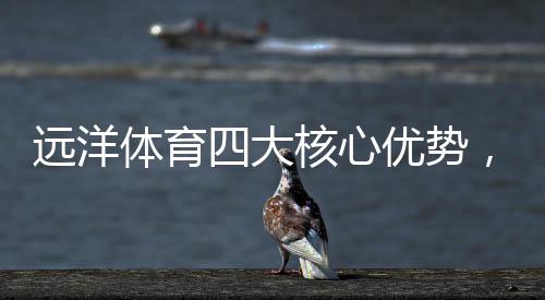 远洋售后服务一体化模式