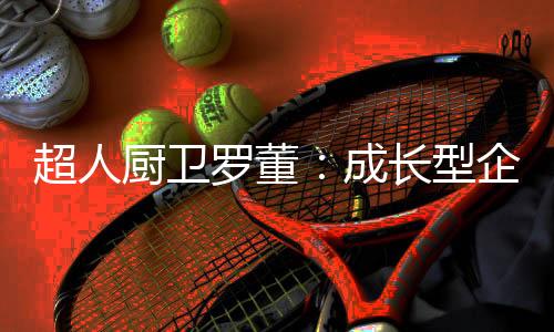在笔者有限的型企视野范围内