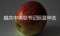 快排公司十年历程，霸屏兔 seo 的崛起与坚守