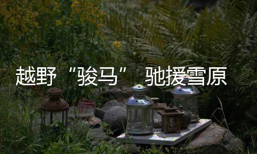 可根据不同任务需求