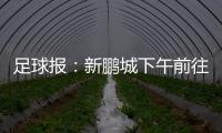 快排公司十年历程，霸屏兔 seo 的崛起与坚守
