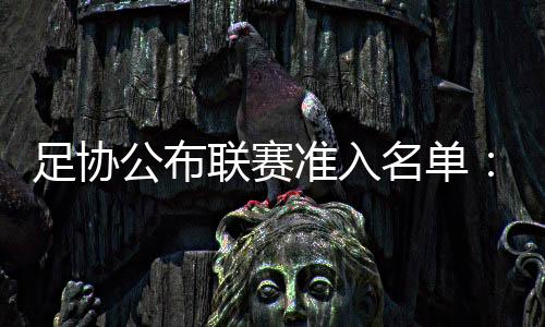 债务清欠公示等流程