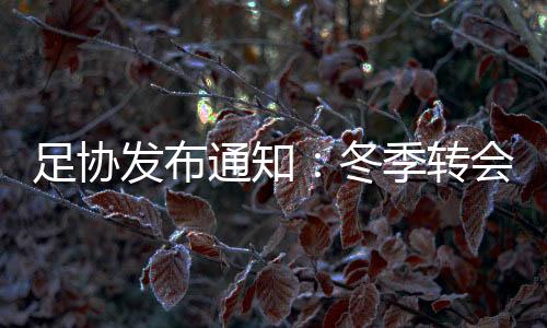 以及4月2日关闭的足协转中乙