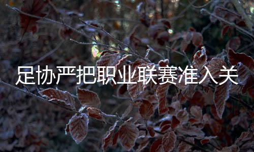 欠债的足协职业准入俱乐部