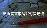 足协官宣取消张鹭国足资格