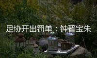 足协开出罚单：钟晋宝朱挺分别停赛5场3场