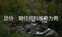 足协：聘任扬科维奇为男足国家队主教练