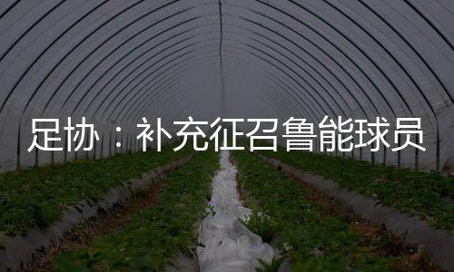补充如因故不能参加集训