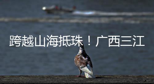 “第一次坐这么快的抵珠火车
