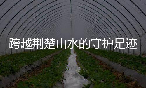 荆楚迹快每一次相遇