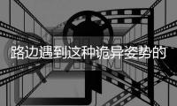 路边遇到这种诡异姿势的鸟，别碰！赶紧远离�！